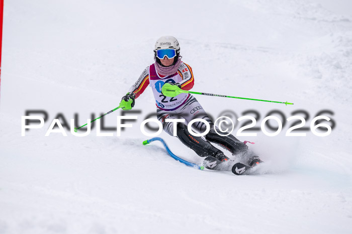 NC SL ,Frauen + Männer Axamer Lizum 29.03.2026