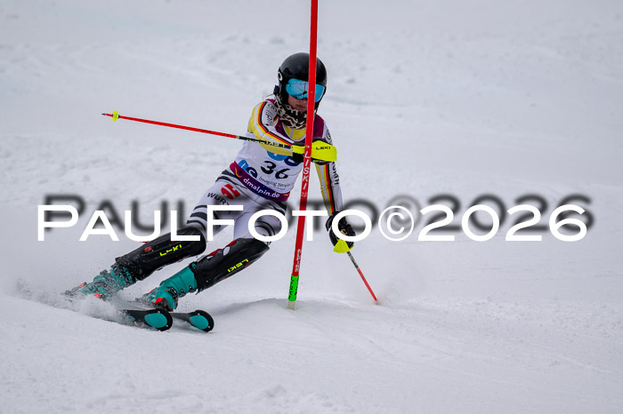 NC SL ,Frauen + Männer Axamer Lizum 29.03.2026