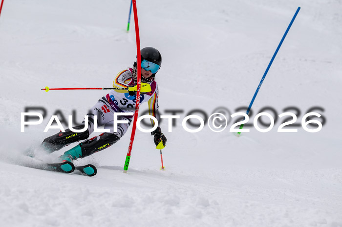 NC SL ,Frauen + Männer Axamer Lizum 29.03.2026