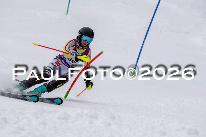 NC SL ,Frauen + Männer Axamer Lizum 29.03.2026