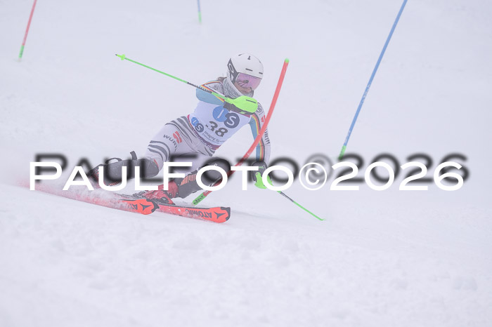 NC SL ,Frauen + Männer Axamer Lizum 29.03.2026