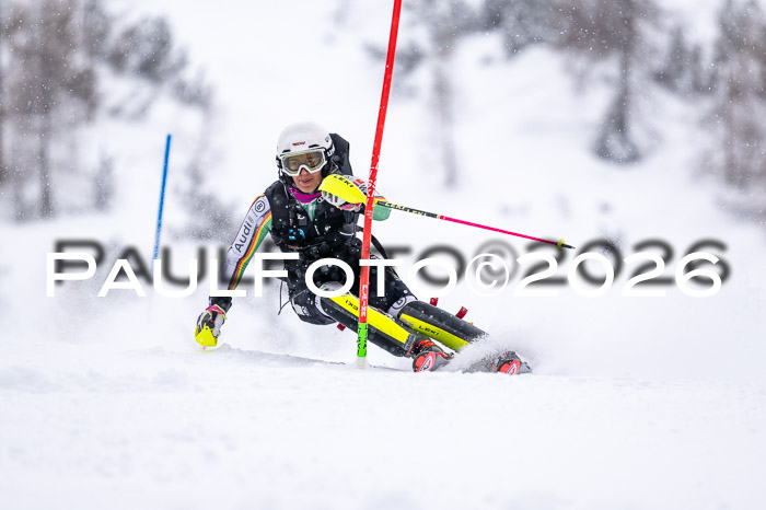 NC SL ,Frauen + Männer Axamer Lizum 29.03.2026