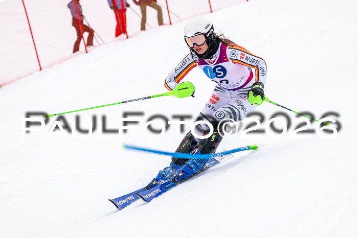 NC SL ,Frauen + Männer Axamer Lizum 29.03.2026