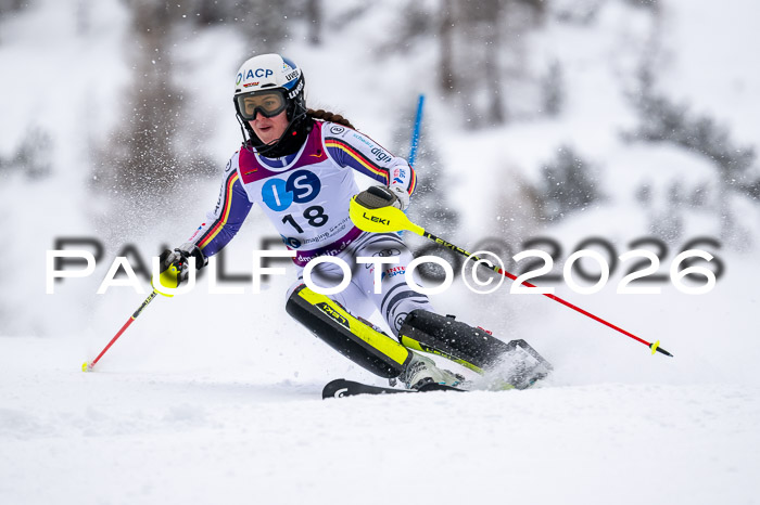 NC SL ,Frauen + Männer Axamer Lizum 29.03.2026