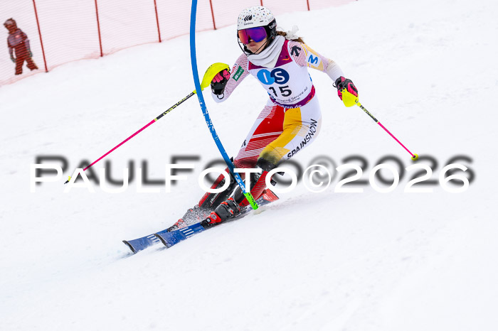 NC SL ,Frauen + Männer Axamer Lizum 29.03.2026