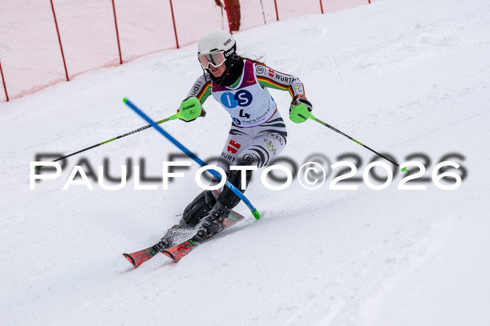 NC SL ,Frauen + Männer Axamer Lizum 29.03.2026