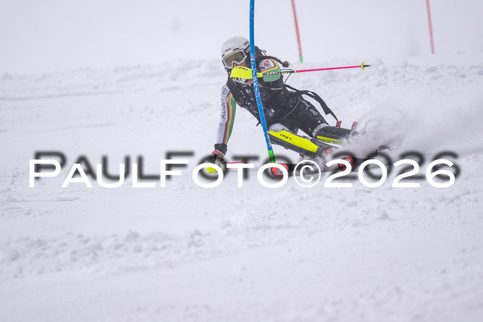 NC SL ,Frauen + Männer Axamer Lizum 29.03.2026