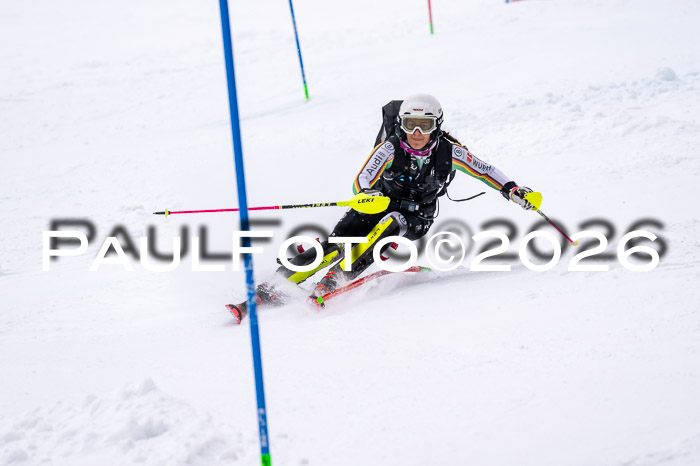 NC SL ,Frauen + Männer Axamer Lizum 29.03.2026