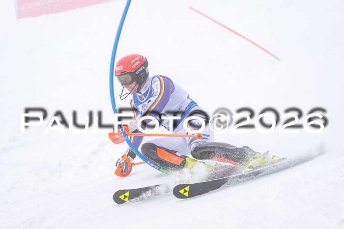 NC SL ,Frauen + Männer Axamer Lizum 29.03.2026