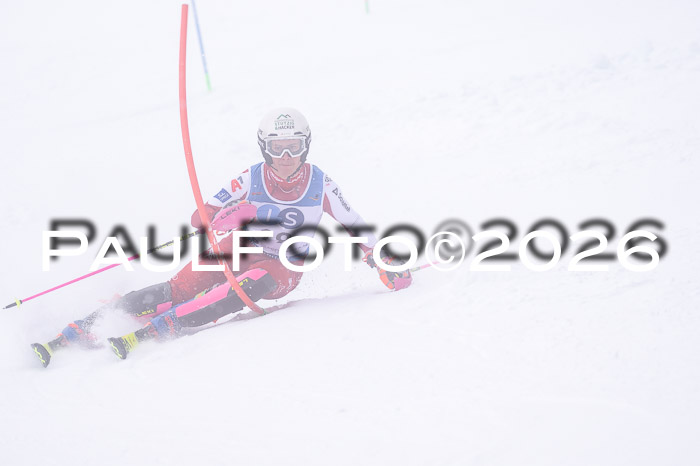 NC SL ,Frauen + Männer Axamer Lizum 29.03.2026