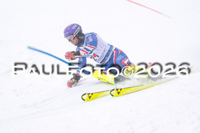 NC SL ,Frauen + Männer Axamer Lizum 29.03.2026