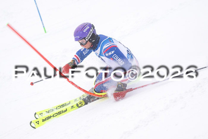 NC SL ,Frauen + Männer Axamer Lizum 29.03.2026