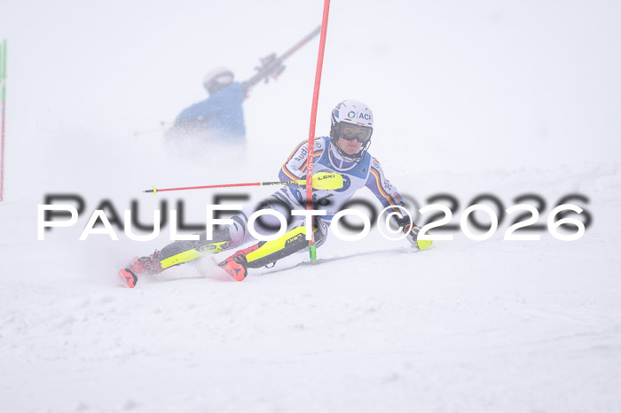 NC SL ,Frauen + Männer Axamer Lizum 29.03.2026