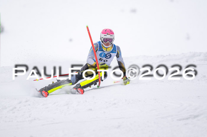 NC SL ,Frauen + Männer Axamer Lizum 29.03.2026