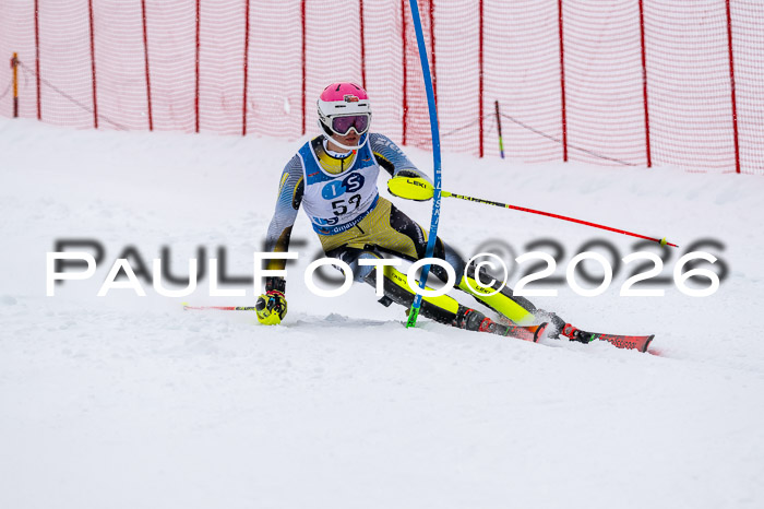 NC SL ,Frauen + Männer Axamer Lizum 29.03.2026