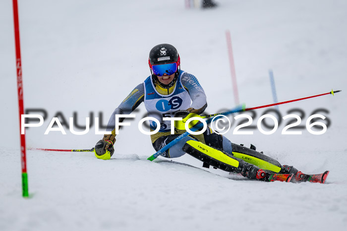 NC SL ,Frauen + Männer Axamer Lizum 29.03.2026