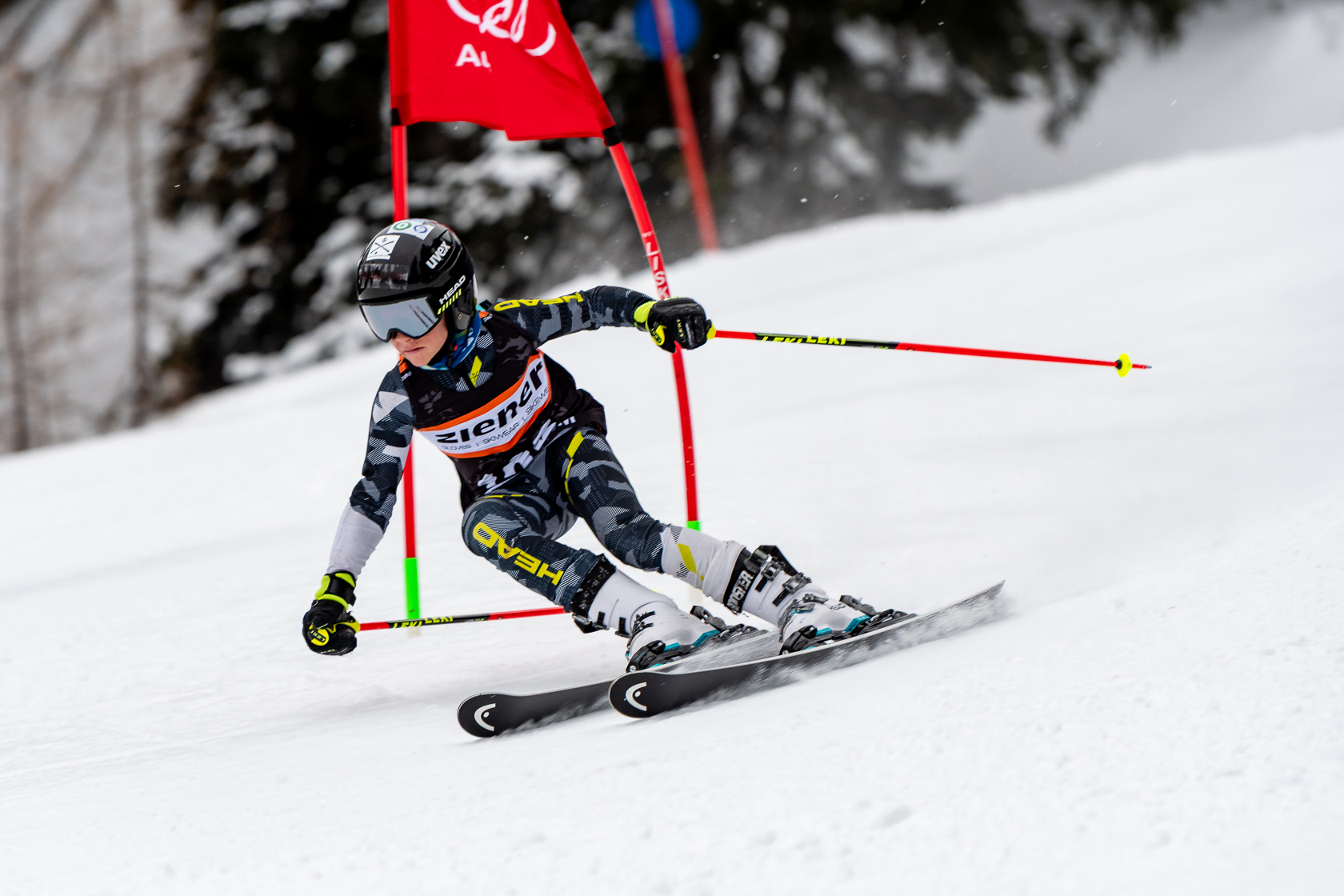 1. Ziener Cup WF RS, 12.01.2025