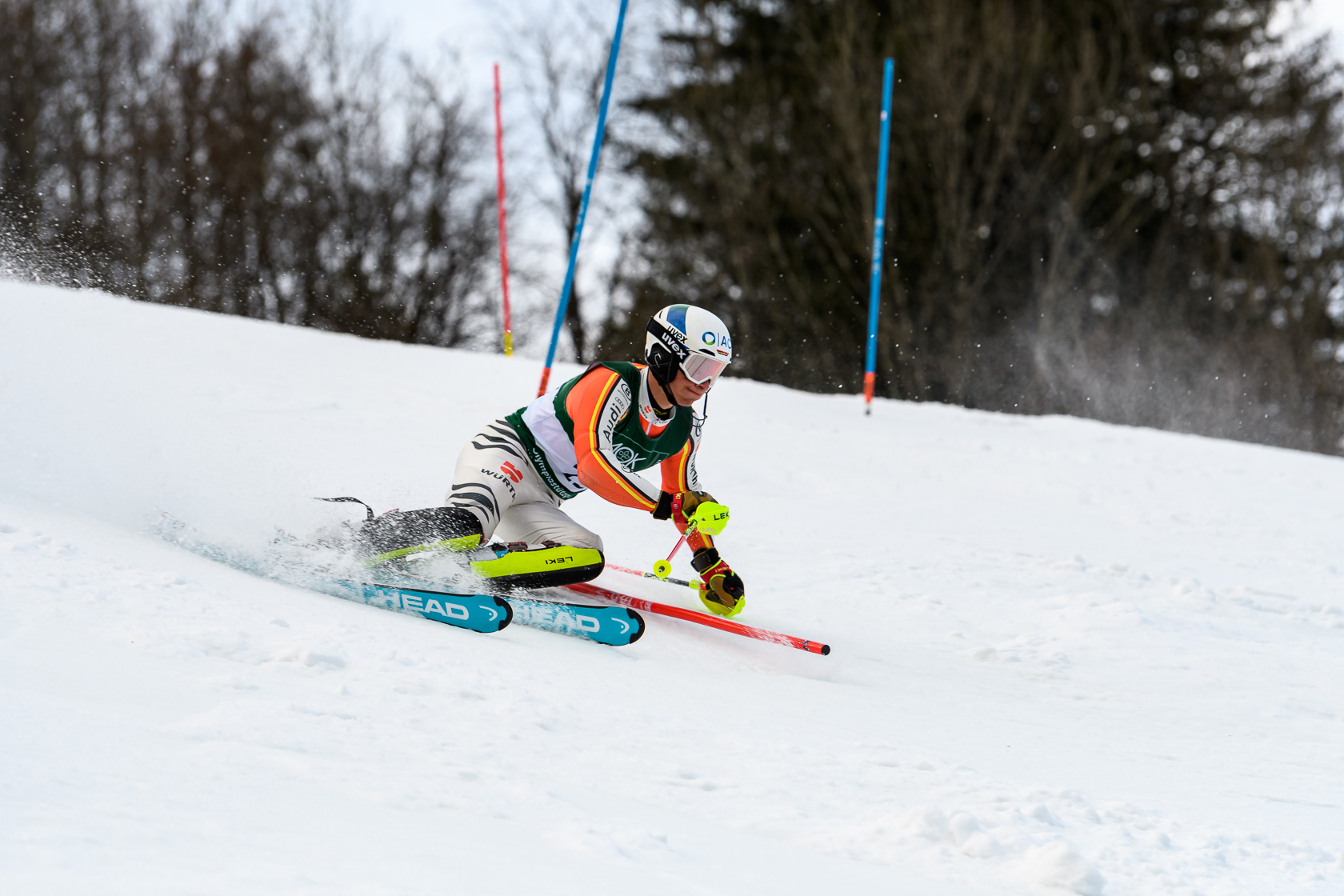 FIS Slalom Damen + Herren, 09.03.2025