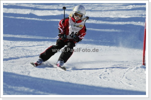 Klicken Sie auf das Bild, um es zu vergrößern