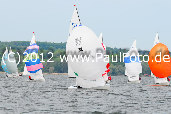 FD Regatta